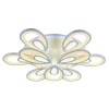 Светодиодная люстра 8007/6+3 WHT