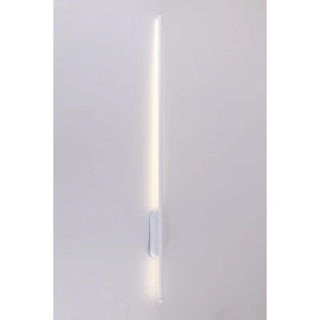 FJ8006/1000mm WT (1/25) Настенный светильник (RL) 