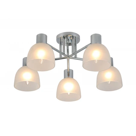 07428/5 CHROME (1) Люстра (RL) 