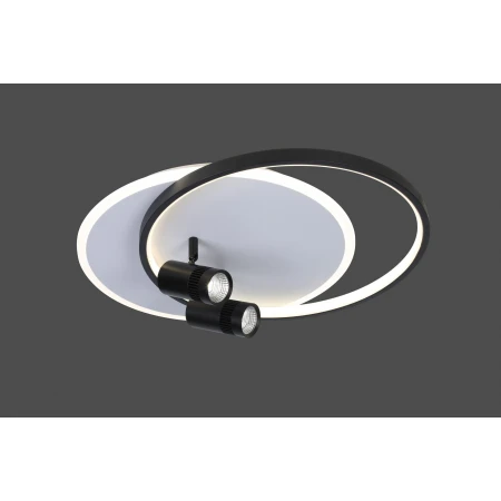 2577 WT+BK (1) Люстра MN (RL) 