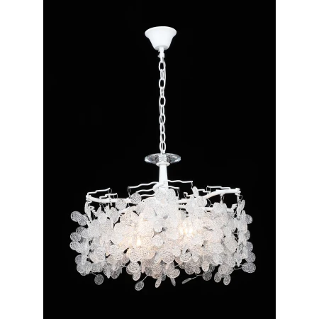 2545D/6 WT (1) Люстра (RL) # 