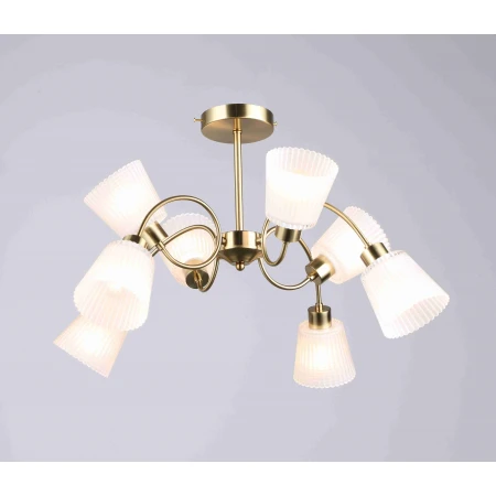 6576/8 COP (1) Люстра RL 