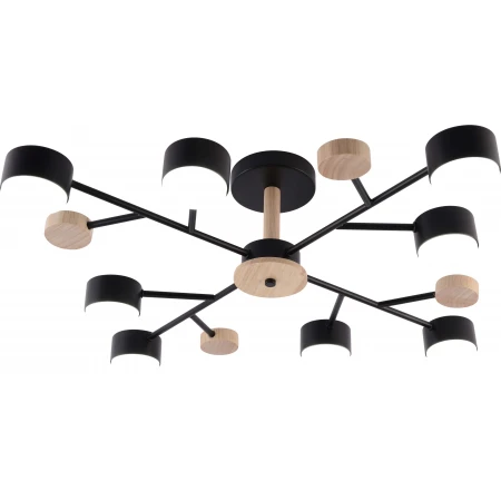 GX3752-8 BK+WOOD (1) Люстра RL 