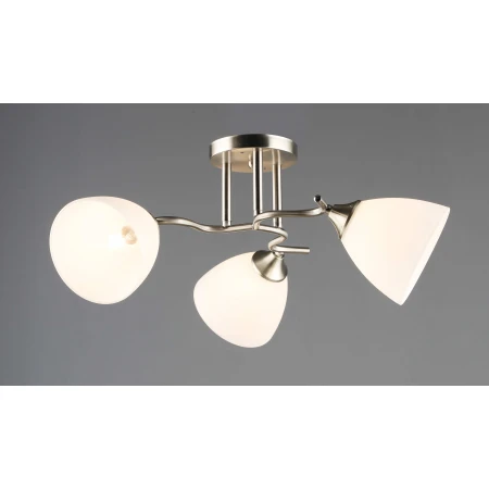 6970/3 SN (4) Люстра RL 