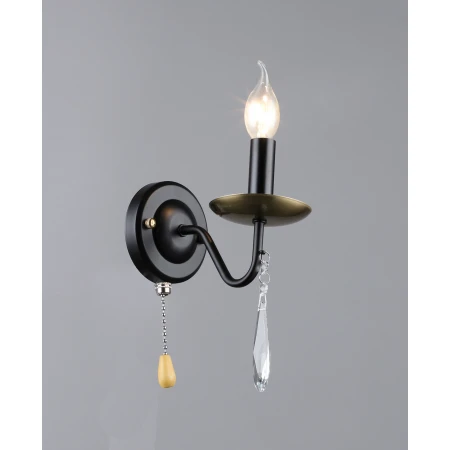 6810/1W BK+COP (1/10) Настенный светильник RL 