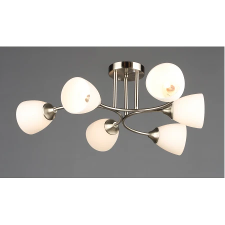 6772/6 SN (1) Люстра RL 