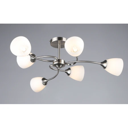 7124/6 SN (1) Люстра RL 