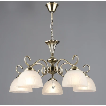 7376/5 AB (1) Люстра RL 