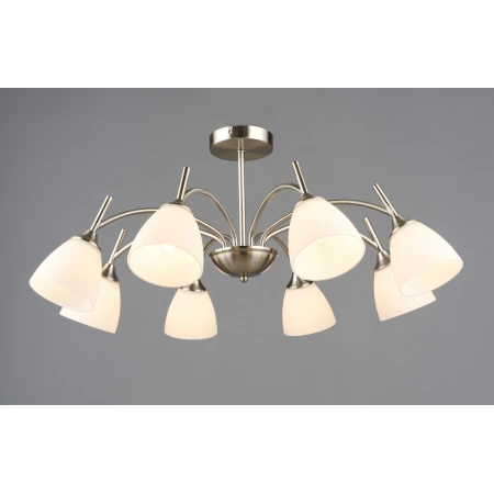 7349/8 SN (1) Люстра RL 