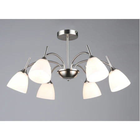 7349/6 SN (1) Люстра RL 