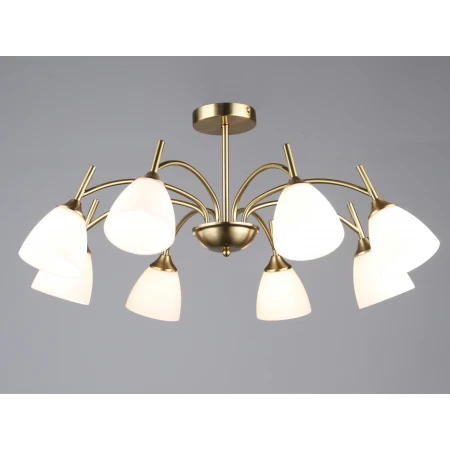 7349/8 COP (1) Люстра RL 