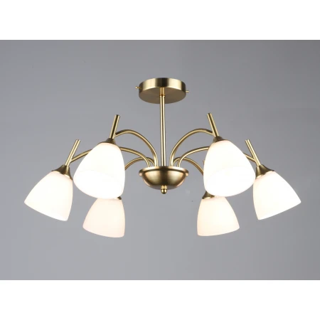 7349/6 COP (1) Люстра RL 