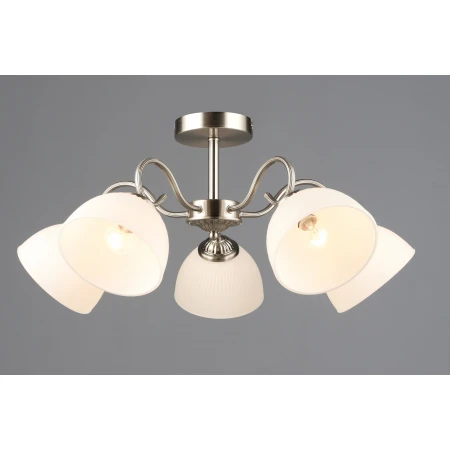 7331/5 SN (1) Люстра RL 