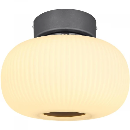 Потолочный светодиодный светильник Globo Boomer 15437D