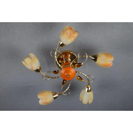 Я82276/5 (2)с/к  FCD+BR люстра [01048412]