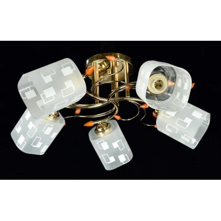 ДС6255/5А (4) FGD светильник потолочный [01072896]