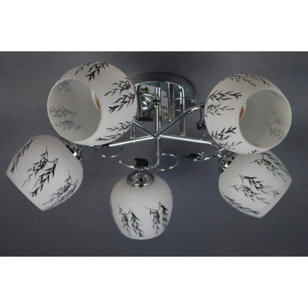 ДС622/5 (4) CR светильник потолочный [01072863]