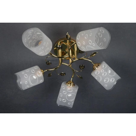 ДС6212/5А FGD (4)  светильник потолочный [01075274]