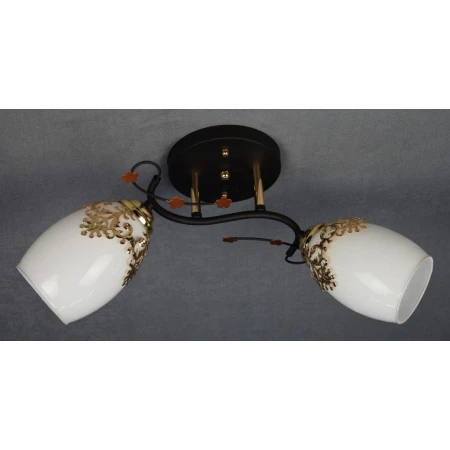 Щ6913/2 (6) BK+FG светильник потолочный [01072966]