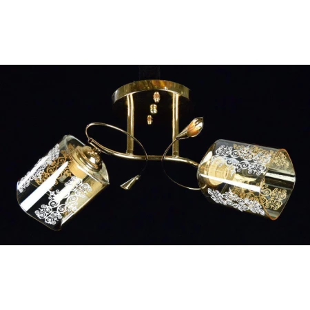 ДС7232/2B FGD (6) светильник потолочный [01087643]