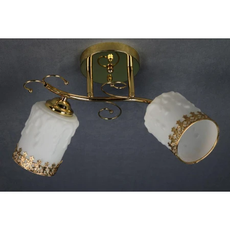 ДС6298/2А (6) FGD светильник потолочный [01072907]