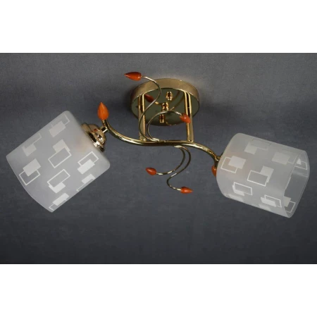 ДС6255/2А (6) FGD светильник потолочный [01073068]