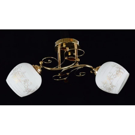 ДС6240/2A FGD (6) светильник потолочный [01080542]