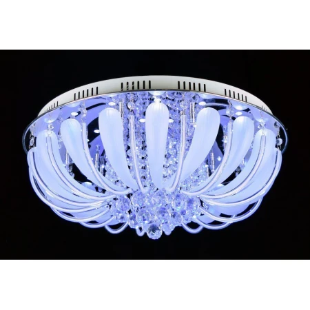 Ч6677/21/550 (1) светильник потолочный [01058258]