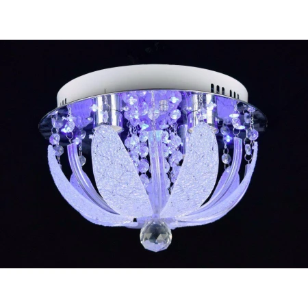 Д80231/300 (1) светильник потолочный [01064478]