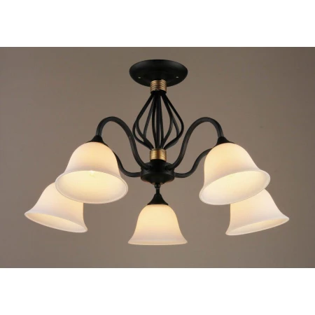 ВР-N3292/5 BK+AB (4) светильник потолочный [01091563]