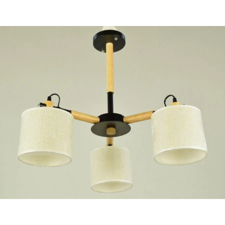 ФА-D2036A/3 BK (1) светильник потолочный [01083194]