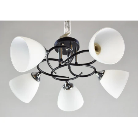 ВР-N2411/5 BK+CH (4) светильник потолочный [01079255]