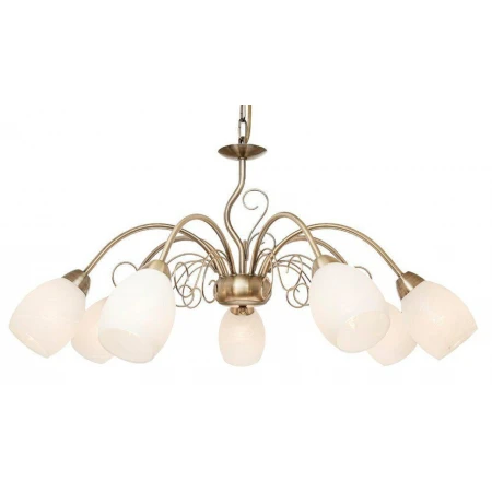 ВА-S451/7 AB+WT (2) светильник потолочный [01092027]