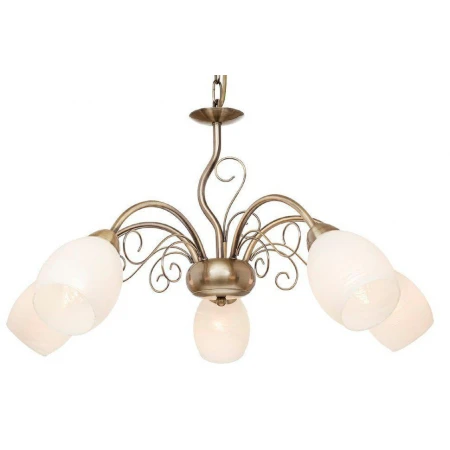 ВА-S451/5 AB+WT (4) светильник потолочный [01092026]