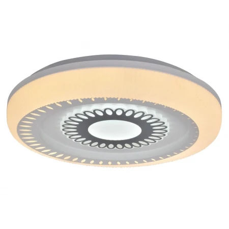 1386-100W  (1)