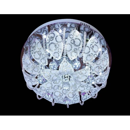 55179/500  WT  (1) 55179/500  WT  (1)