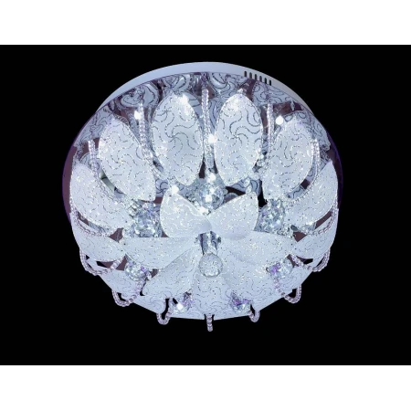 55180/500  WT  (1) 55180/500  WT  (1)