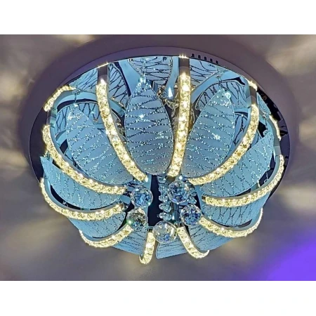 55233/500  WT  (1) 55233/500  WT  (1)