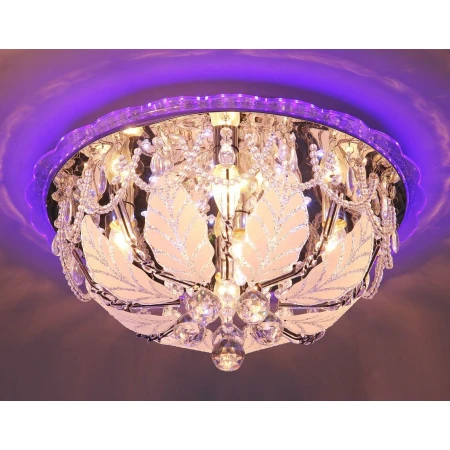 5688/500 WT+WT  (1) 5688/500 WT+WT  (1)