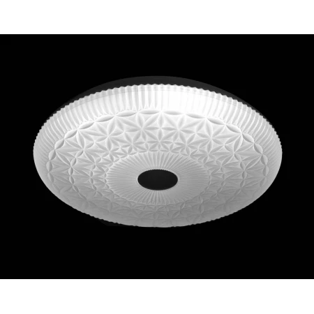 X063/500-81W WG  (1) X063/500-81W WG  (1)