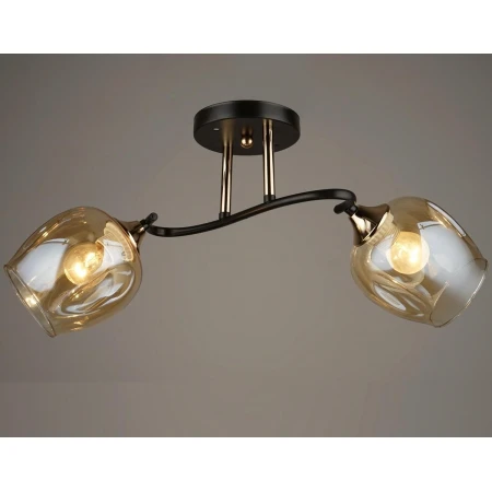 P7046/2  (10) - Эконом класс люстры