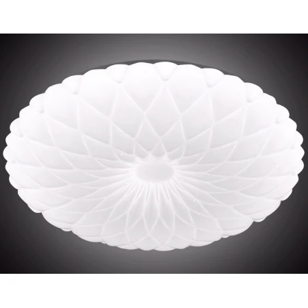 M2028/400-55W (1) - Настенно-потолочные Modern-Light