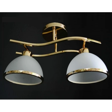 5593/2 FG  (6) - Эконом-Плюс люстры 5593/2 FG  (6) - Эконом-Плюс люстры