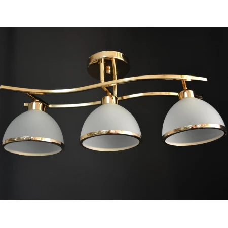 5593/3 FG  (4) - Эконом-Плюс люстры 5593/3 FG  (4) - Эконом-Плюс люстры