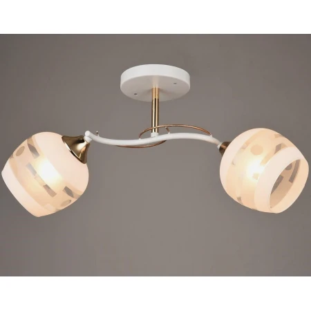 P8180/2  (1) - Эконом-Плюс люстры