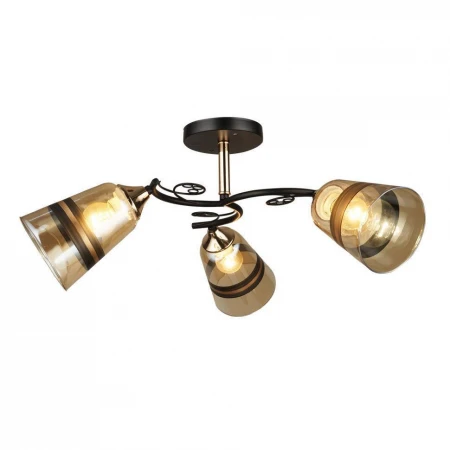 Люстра 66372.01.69.03 СПИНЕЯ