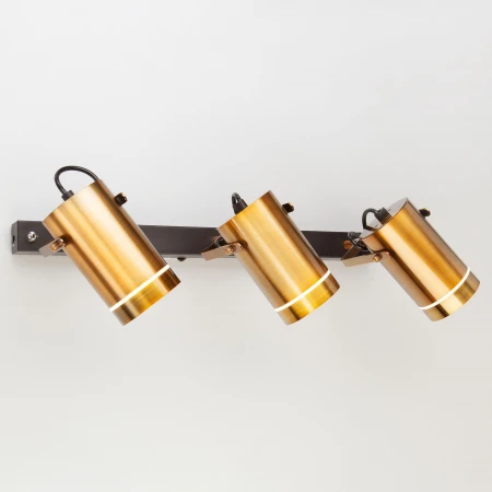 Настенный светодиодный светильник с поворотными плафонами Eurosvet 20063/3 LED античная бронза