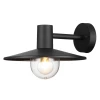 Уличный настенный светильник Odeon Light Furcadia 4833/1W Уличный настенный светильник Odeon Light Furcadia 4833/1W