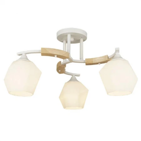 Люстра WEDO LIGHT 66587.01.09.03 Лалио