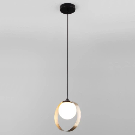 Светильник Eurosvet 50205/1 черный/бронза Dublin